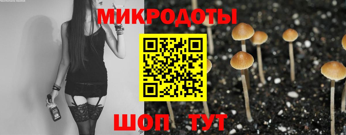 Черняховск  закладка  Вход с VPN  Галлюциногенные грибы мицелий 