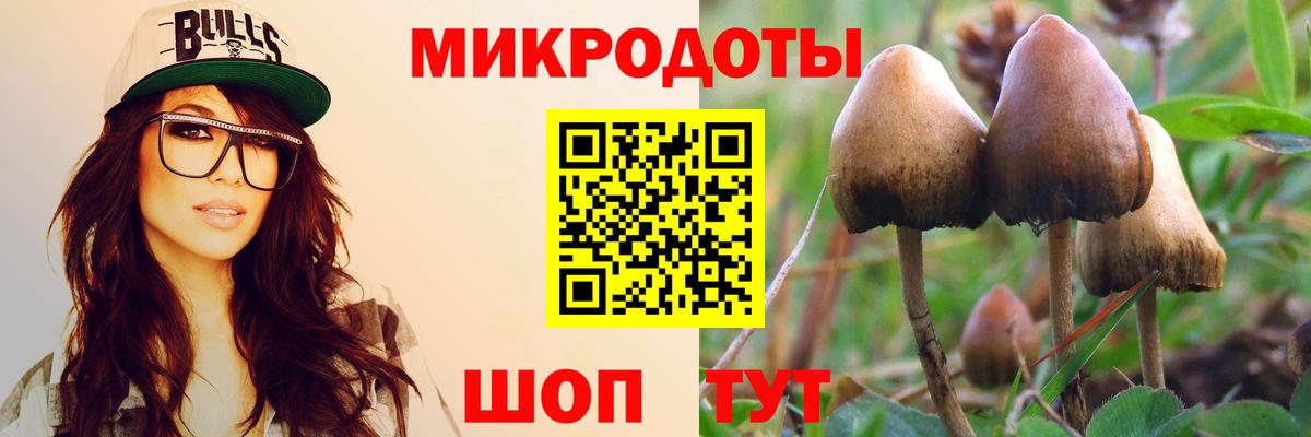 Псилоцибиновые грибы мухоморы Черняховск